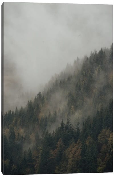 Foggy Mountain Forest Canvas Art Print - Michael Schauer