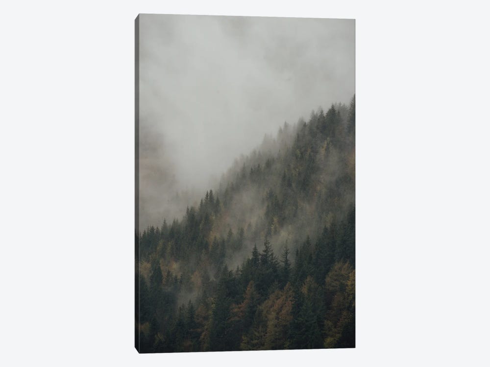 Foggy Mountain Forest by Michael Schauer 1-piece Canvas Print