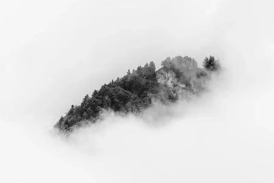 Forest Island In The Clouds by Michael Schauer framed wall art
