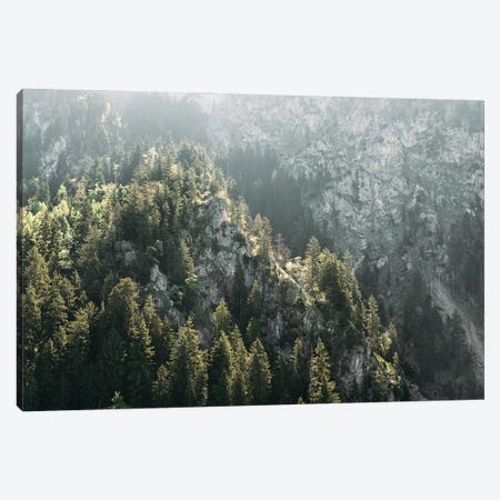 Mountain Forest On A Sunny Hazy Day Canvas Print #SCE32} by Michael Schauer Canvas Print