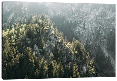 Mountain Forest On A Sunny Hazy Day Canvas Art Print - Michael Schauer
