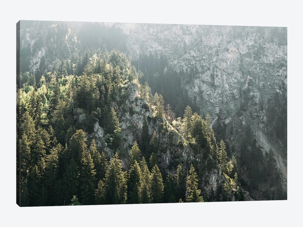 Mountain Forest On A Sunny Hazy Day by Michael Schauer 1-piece Art Print