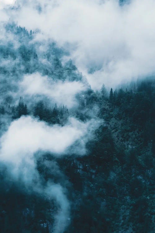 Surreal Forest In The Mountains With Sweeping Clouds