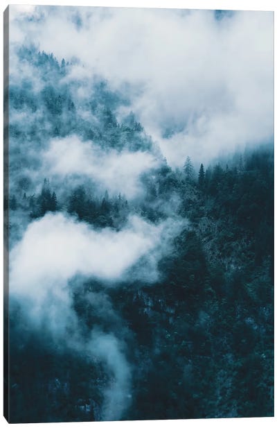 Surreal Forest In The Mountains With Sweeping Clouds Canvas Art Print - Michael Schauer