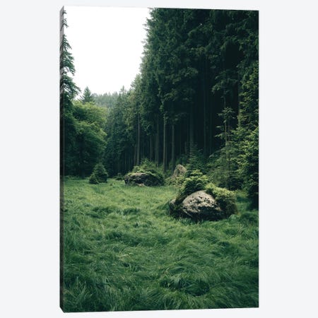 Magical Meadow In A Forest Canvas Print #SCE35} by Michael Schauer Canvas Wall Art