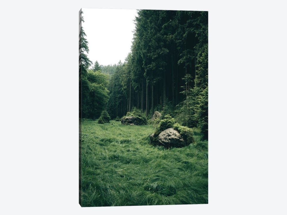 Magical Meadow In A Forest by Michael Schauer 1-piece Canvas Wall Art