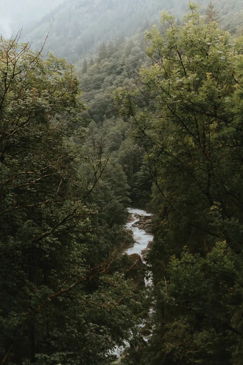 River In A Mountain Forest