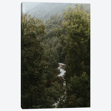 River In A Mountain Forest Canvas Print #SCE37} by Michael Schauer Canvas Wall Art