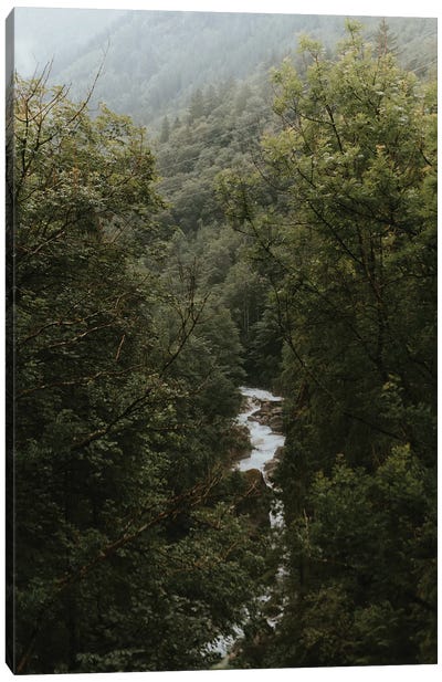 River In A Mountain Forest Canvas Art Print - Michael Schauer