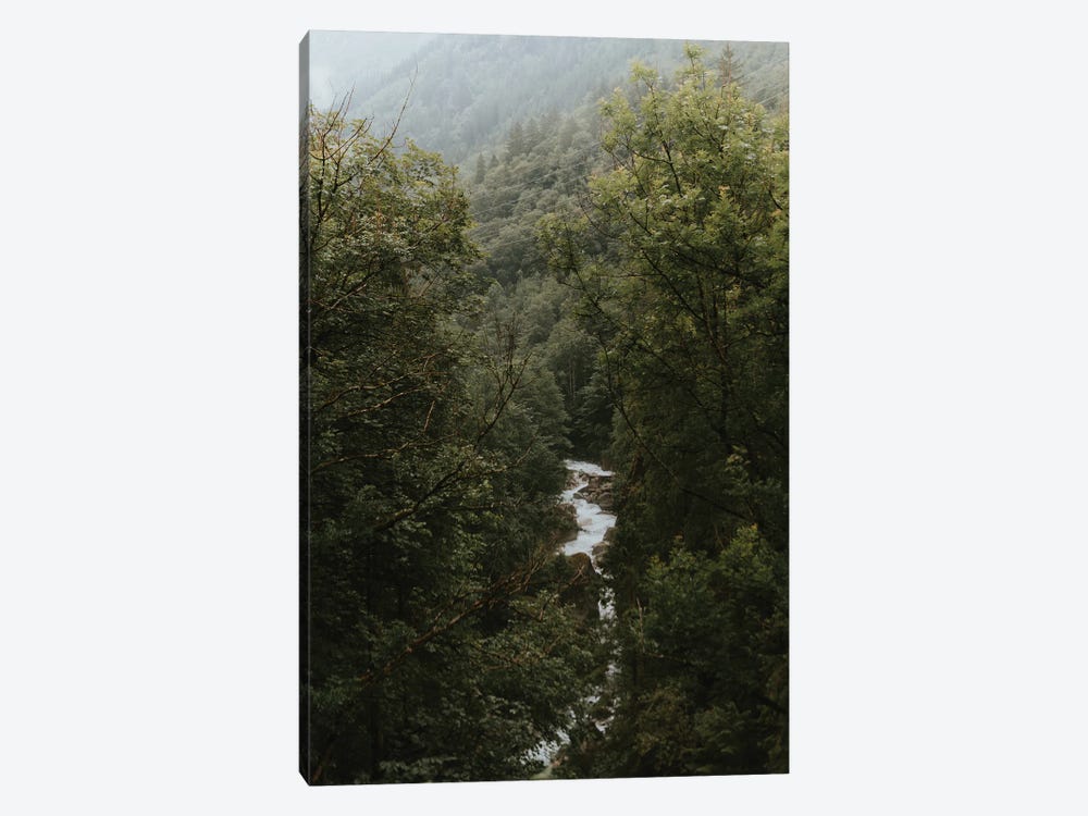 River In A Mountain Forest by Michael Schauer 1-piece Canvas Wall Art