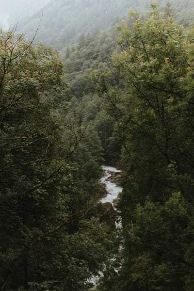 Michael Schauer: River In A Mountain Forest by Michael Schauer