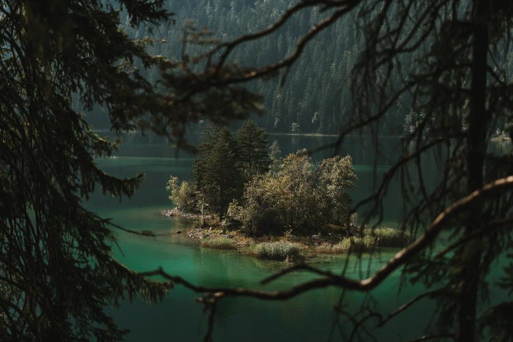 Forest Island In A Mountain Lake Framed By Branches