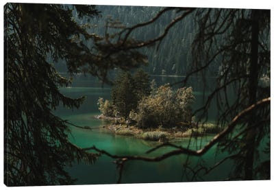 Forest Island In A Mountain Lake Framed By Branches Canvas Art Print - Michael Schauer
