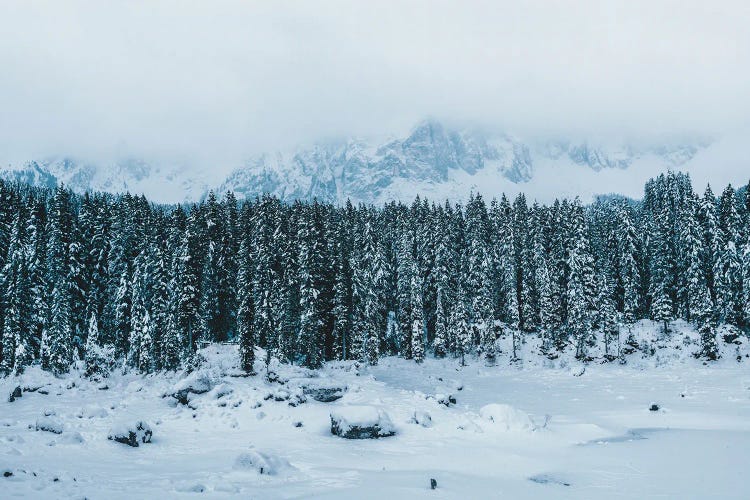 Frozen Forest Mountain Lake In The Italian Dolomites