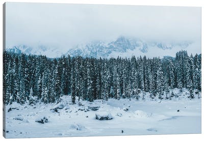 Frozen Forest Mountain Lake In The Italian Dolomites Canvas Art Print - Michael Schauer
