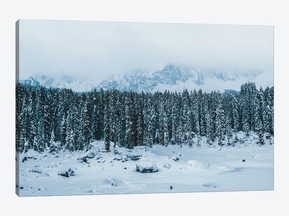 Frozen Forest Mountain Lake In The Italian Dolomites by Michael Schauer 1-piece Canvas Wall Art