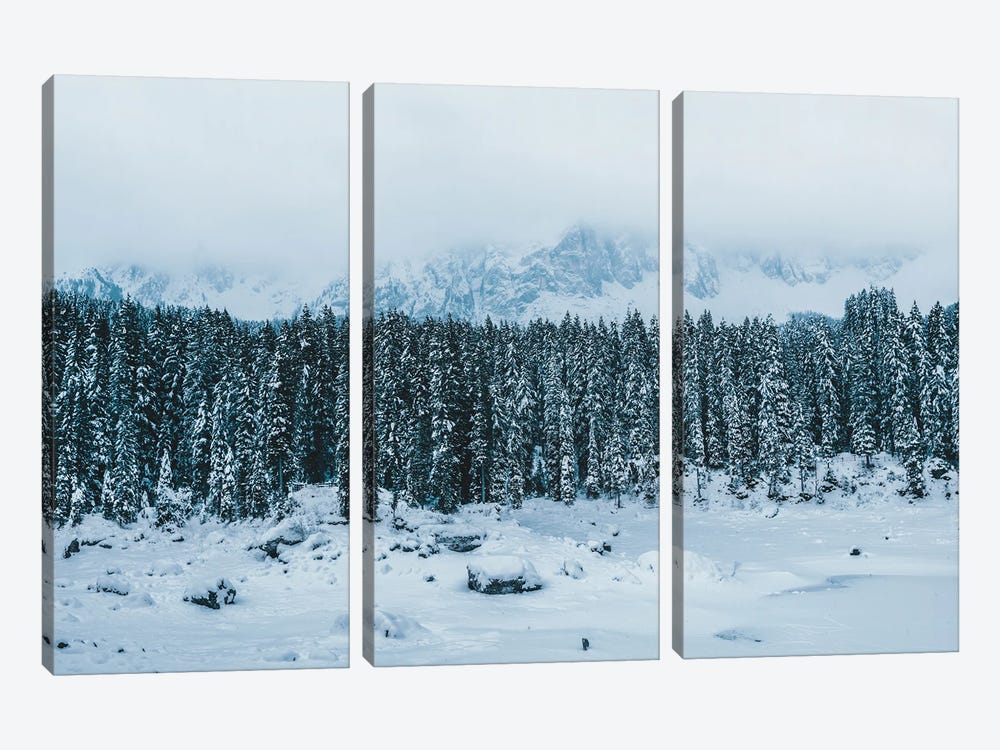 Frozen Forest Mountain Lake In The Italian Dolomites by Michael Schauer 3-piece Canvas Artwork
