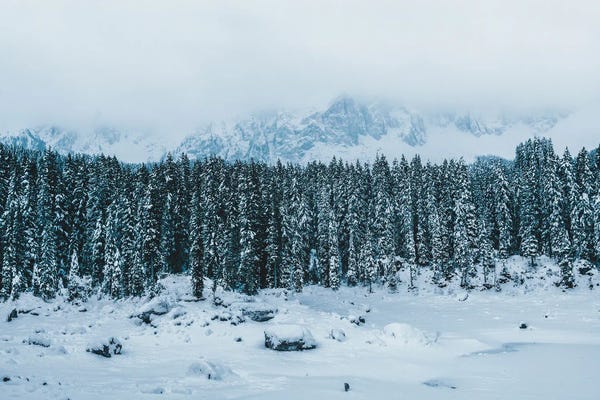 Michael Schauer: Frozen Forest Mountain Lake In The Italian Dolomites by Michael Schauer