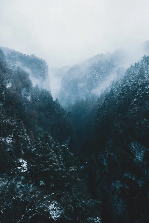 Forest Mountain Canyon In The Italian Dolomites