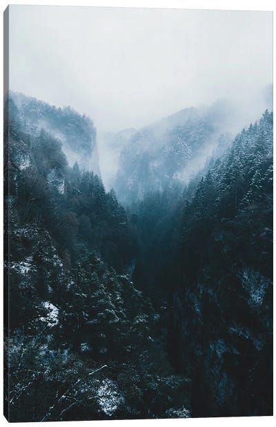 Forest Mountain Canyon In The Italian Dolomites Canvas Art Print - Michael Schauer