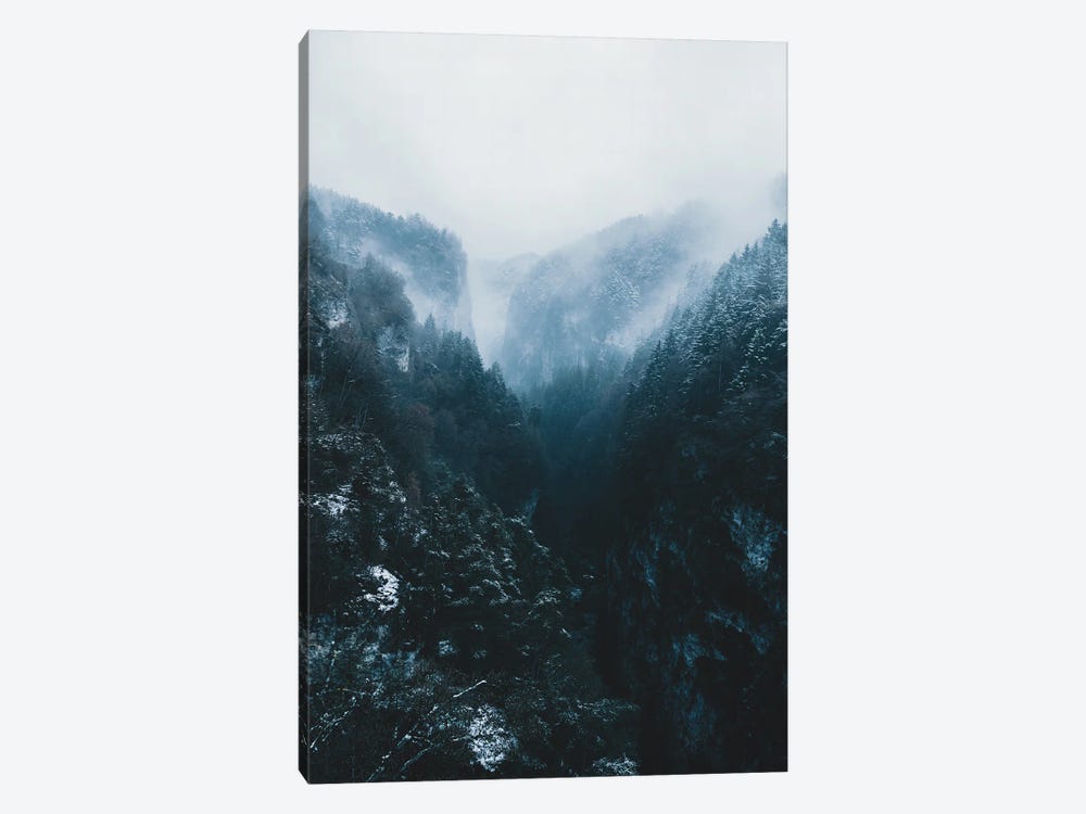 Forest Mountain Canyon In The Italian Dolomites by Michael Schauer 1-piece Art Print
