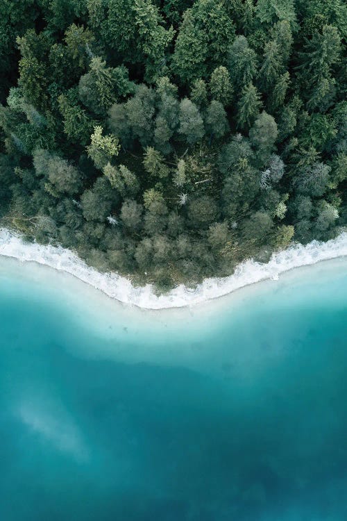 Calm Forest Lake - Green And Blue Symmetry