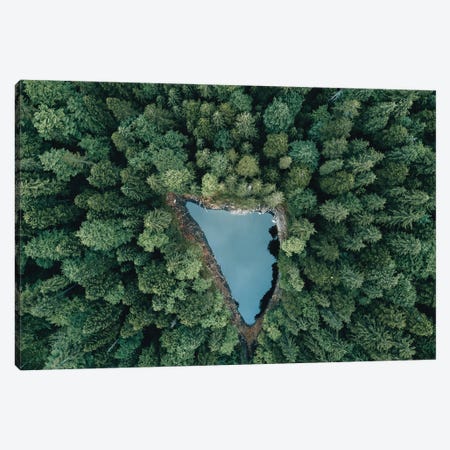 Hidden Lake In A Forest Canvas Print #SCE73} by Michael Schauer Canvas Art Print