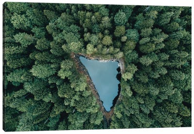 Hidden Lake In A Forest Canvas Art Print - Michael Schauer