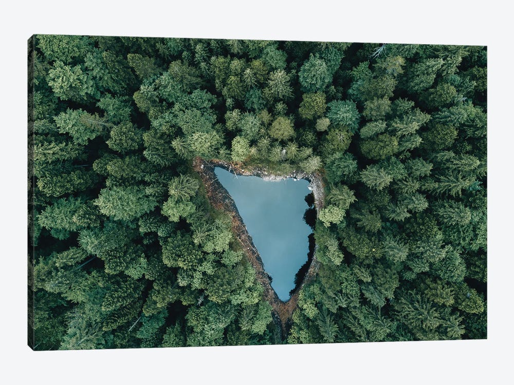 Hidden Lake In A Forest by Michael Schauer 1-piece Canvas Wall Art