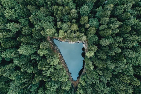 Michael Schauer: Hidden Lake In A Forest by Michael Schauer