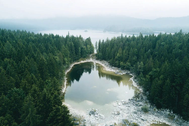 Lake Separated By Pine Forest