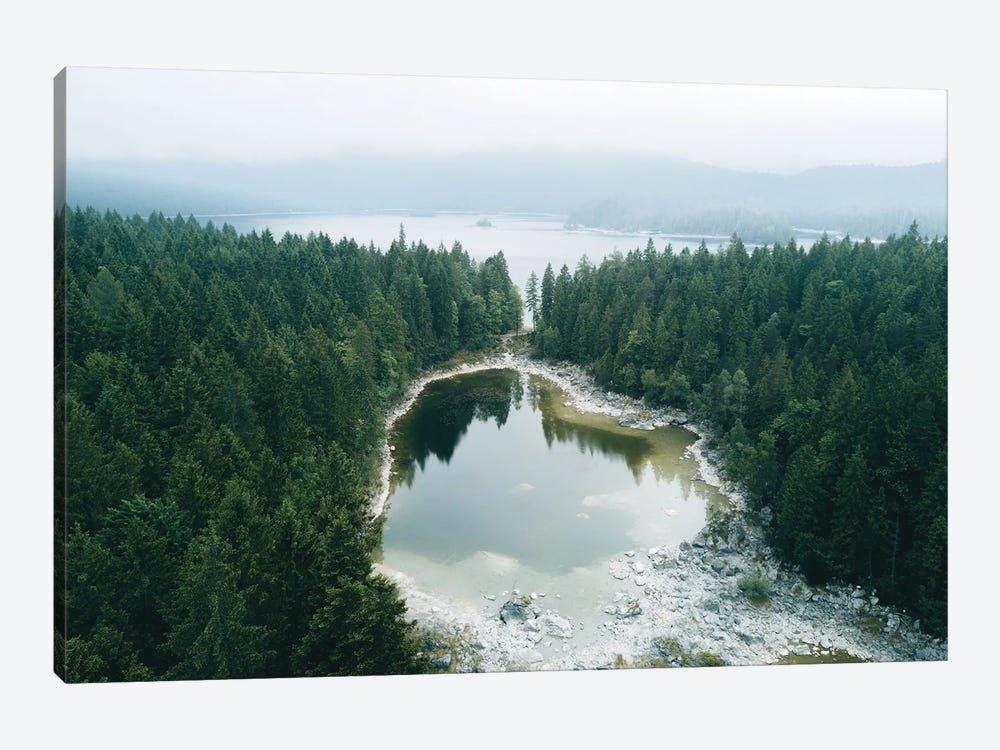 Lake Separated By Pine Forest by Michael Schauer 1-piece Canvas Art