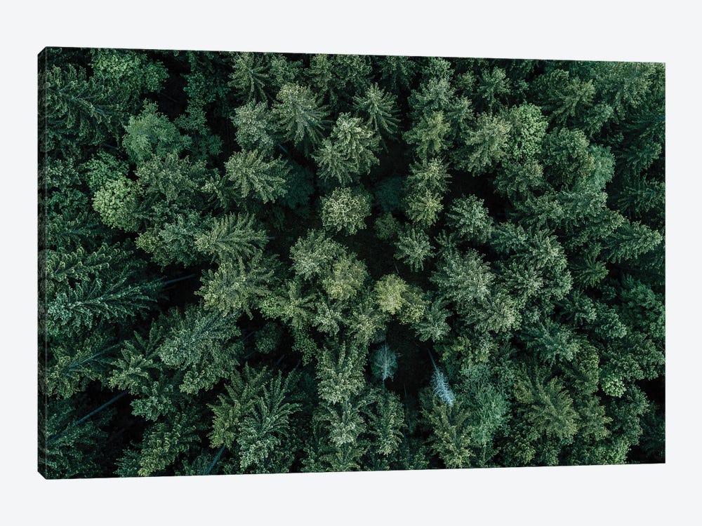 Minimal Forest From Above by Michael Schauer 1-piece Art Print