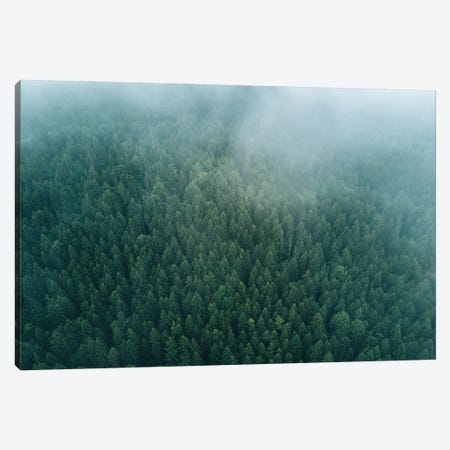 Forest From Above Beneath The Clouds Canvas Print #SCE77} by Michael Schauer Canvas Artwork