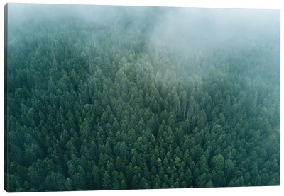 Forest From Above Beneath The Clouds Canvas Art Print - Michael Schauer