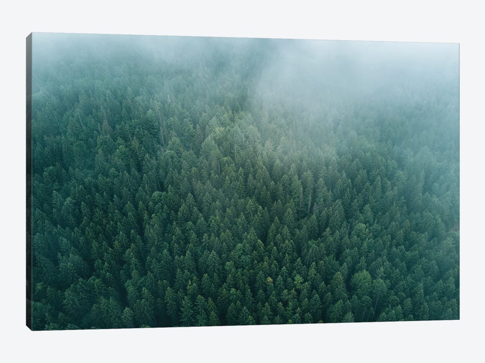 Forest From Above Beneath The Clouds by Michael Schauer 1-piece Canvas Art