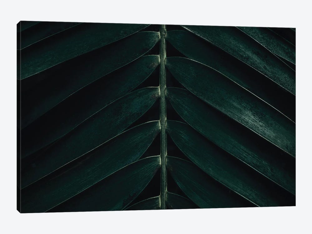 Minimal Palm Leaves by Michael Schauer 1-piece Canvas Art