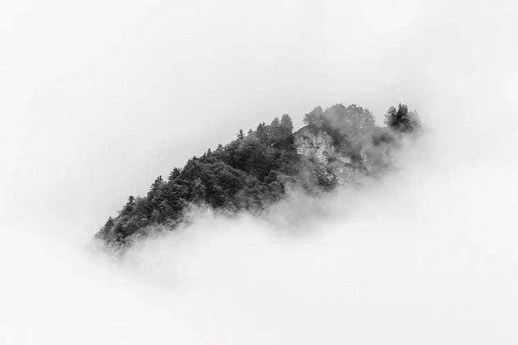 Black And White Forest Island In Minimal Clouds