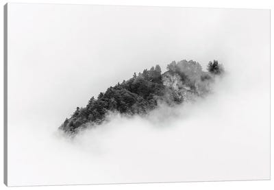 Black And White Forest Island In Minimal Clouds Canvas Art Print - Michael Schauer