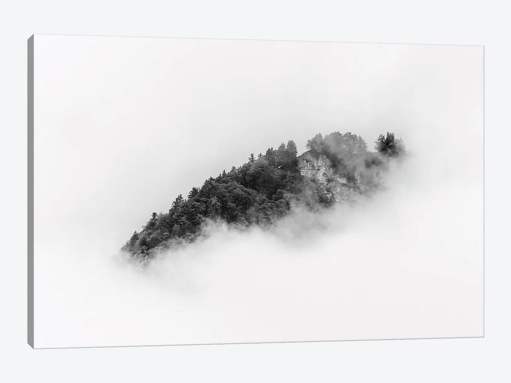 Black And White Forest Island In Minimal Clouds by Michael Schauer 1-piece Canvas Art