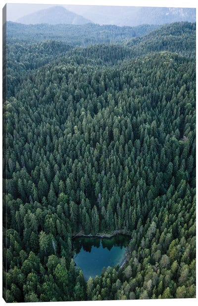 Hidden Lake In An Endless Forest Canvas Art Print - Michael Schauer