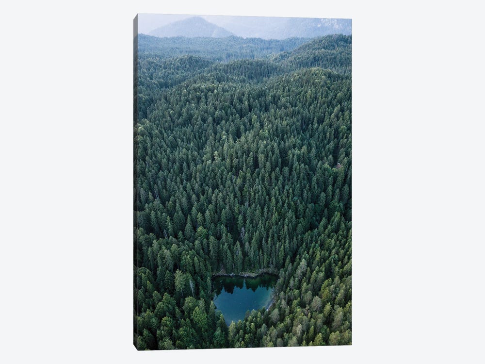 Hidden Lake In An Endless Forest by Michael Schauer 1-piece Canvas Art Print