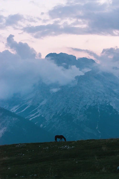 Lone Horse Grazing In Front Of A Mountain Range During Blue Hour