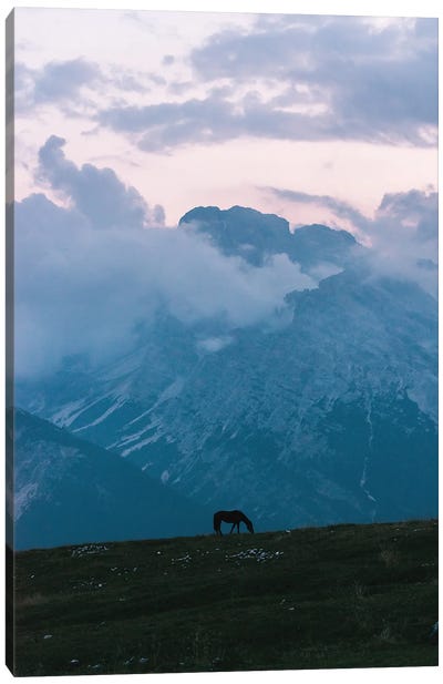 Lone Horse Grazing In Front Of A Mountain Range During Blue Hour Canvas Art Print - Michael Schauer