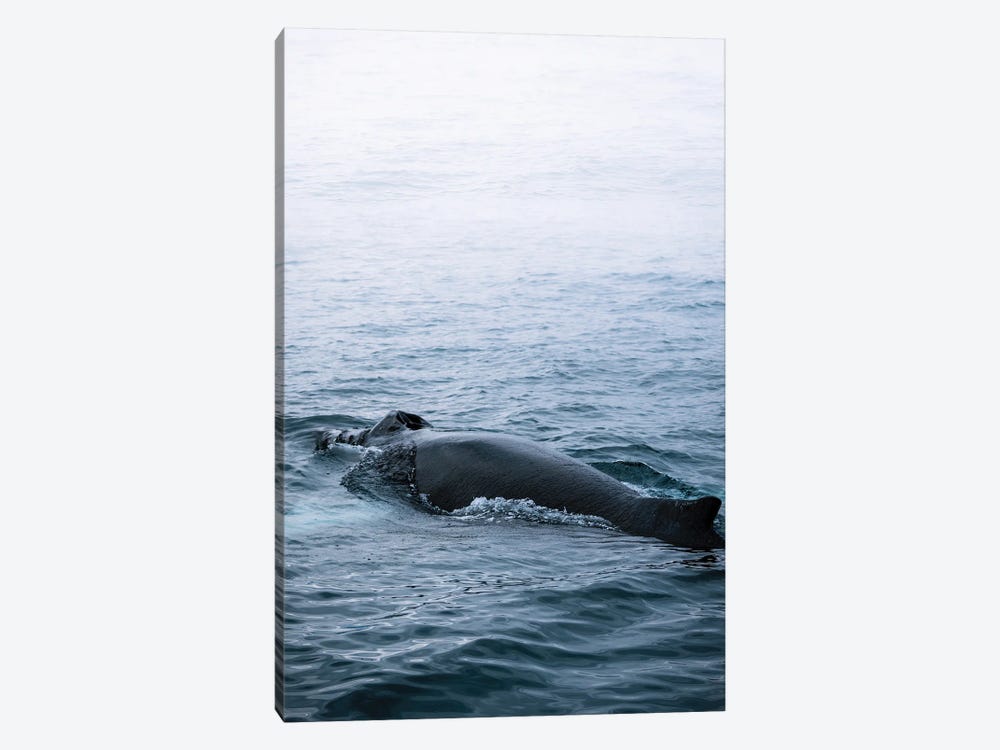 Minimal Humpback Whale Back In The Ocean by Michael Schauer 1-piece Art Print