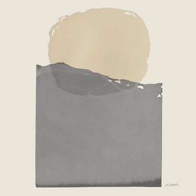 Buoyant by Mike Schick framed canvas print