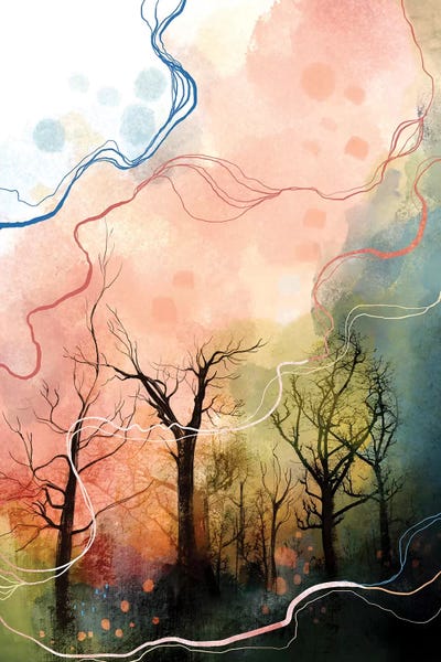 Woods by Soul Curry Art & Illustrations framed canvas print