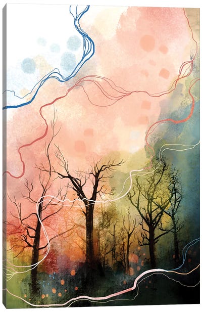 Woods Canvas Art Print - Soul Curry Art & Illustrations