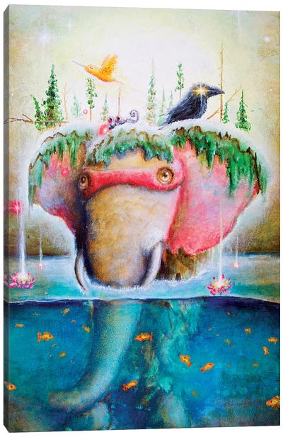 Lotus Pond Canvas Art Print - Scott Mills
