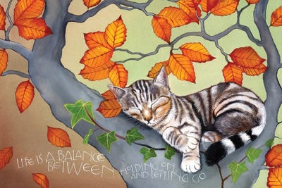 Life Is A Balance by Sam Cannon Art canvas print